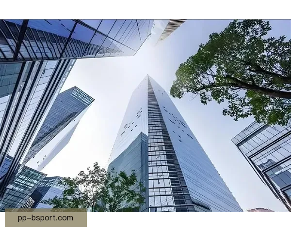 拜合拉木在深圳崭露头角引领创新潮流成为新兴商业标杆