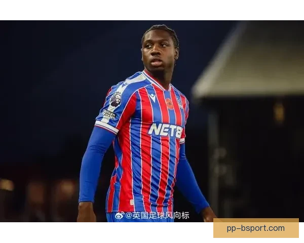 水晶宫正式签约法甲中卫新星 强化防线布局2025夏季转会